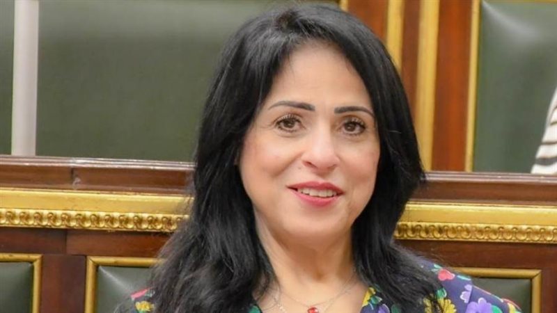 النائبة ميرال جلال