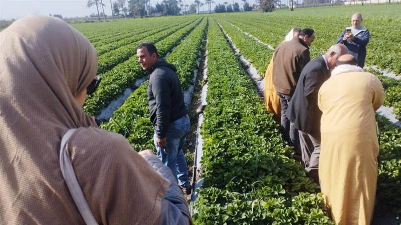 يوم حقلي عن المفترس