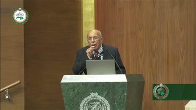 مفيد شهاب: جرائم الاحتلال في قطاع غزة وحشية ويجب ملاحقة مرتكبيها دوليا