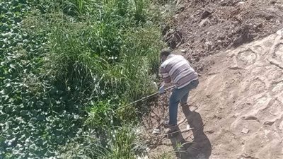 صحة المنيا.. حملات مكثفة لمكافحة ناقلات ومسببات الأمراض