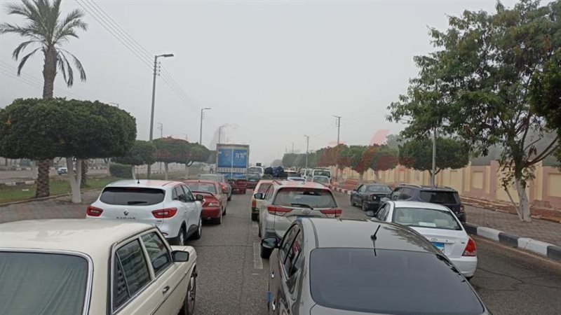 الشبورة المائية تؤثر