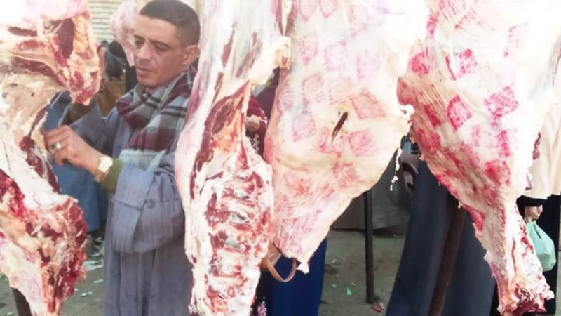 حملات تموينية