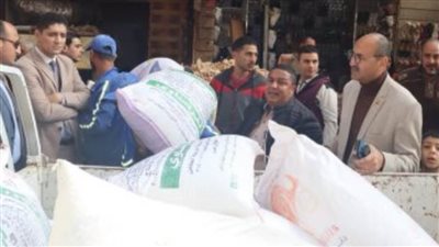 ضبط 11 طن دقيق وغلق 10 منشآت طبية وتجارية مخالفة ببني سويف