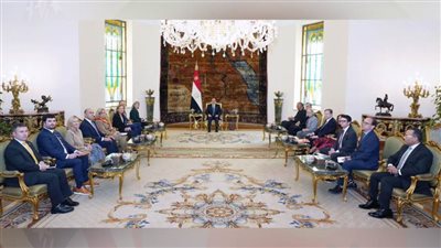 عاجل.. السيسي: نرفض تصفية القضية الفلسطينية والأولوية الراهنة وقف إطلاق النار وحماية المدنيين