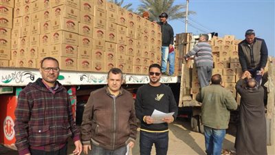 محافظة المنيا توزع 27 ألف كرتونة مواد غذائية لمستحقي تكافل وكرامة (صور)