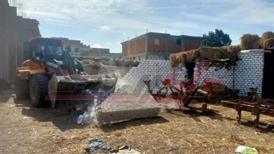 حملات مكبرة لإزالة التعديات علي الأراضي الزراعية بكفر الشيخ 