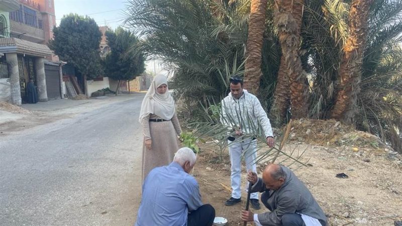 محافظ أسيوط تنفيذ