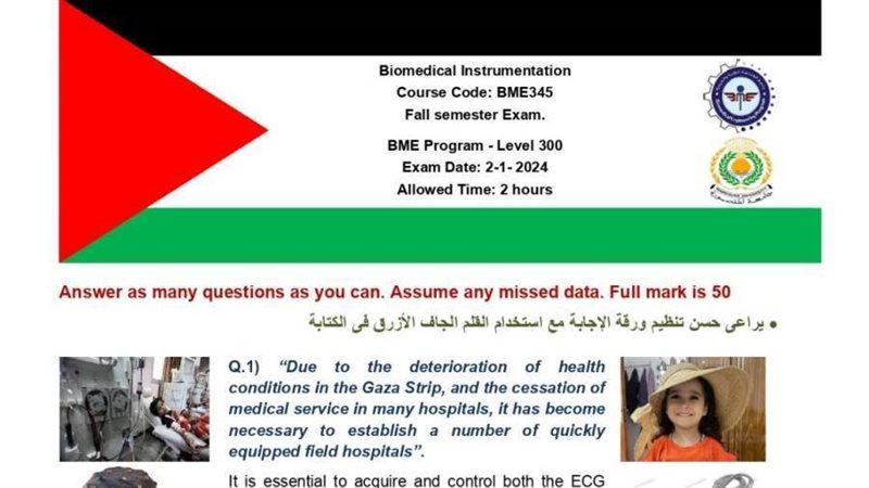 علم فلسطين في ورقة