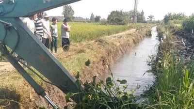 زراعة البحيرة.. تطهير ٧٠% من المصارف والمساقي استعداداً لموسم الشتاء