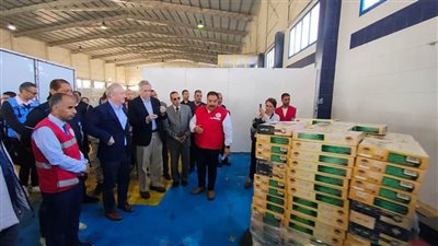 وفد الكونجرس يتفقد المساعدات الخاصة بغزة في مخازن العريش