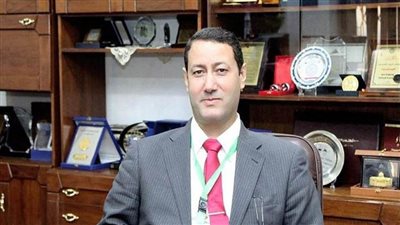 البحوث الفلكية: مصر تشهد سقوط شهب 