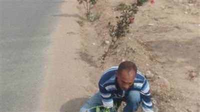 زراعة 215 شجرة مثمرة ضمن مبادرة 