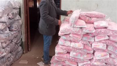 صحة المنيا: المرور على 1048 منشأة غذائية وتحرير 243 محضرًا للمنشآت المخالفة