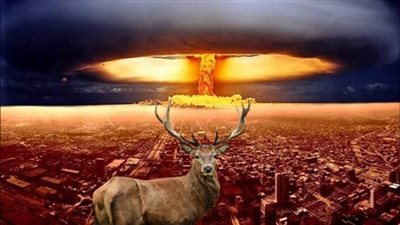 هل يتحضر العالم لفناء البشرية بفيروس الزومبي أم حرب نووية؟