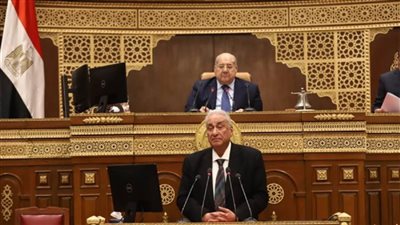 عاجل ..مجلس الشيوخ يوافق على استقالة النائب سامح عاشور