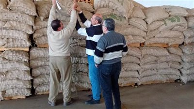 الزراعة تكثف حملات التفتيش على محطات ومنافذ بيع تقاوى  البطاطس