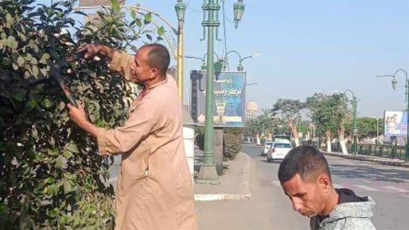 قص وتهذيب الأشجار