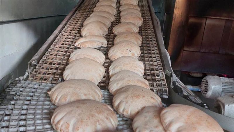 تحرير 60 محضر تموينى