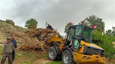 رفع كافة المخلفات الزراعية بمنطقة آثار كوم الناضورة الاثارية بالإسكندرية 