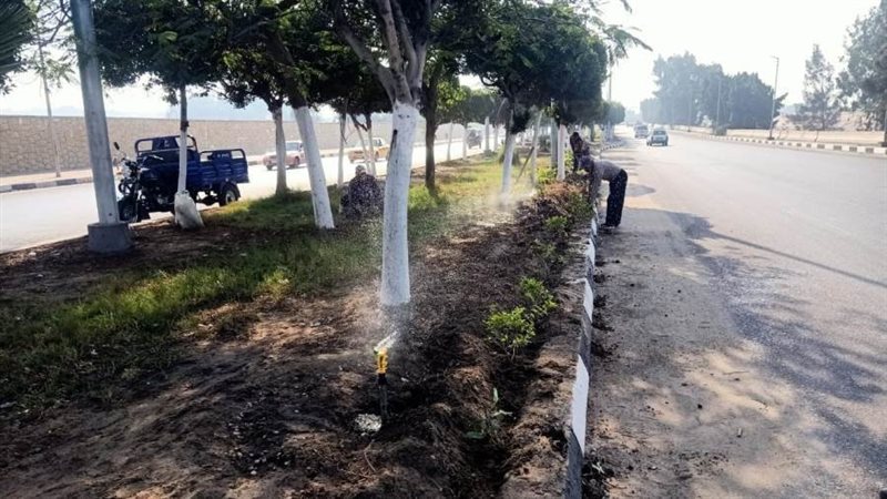 بوابة روز اليوسف