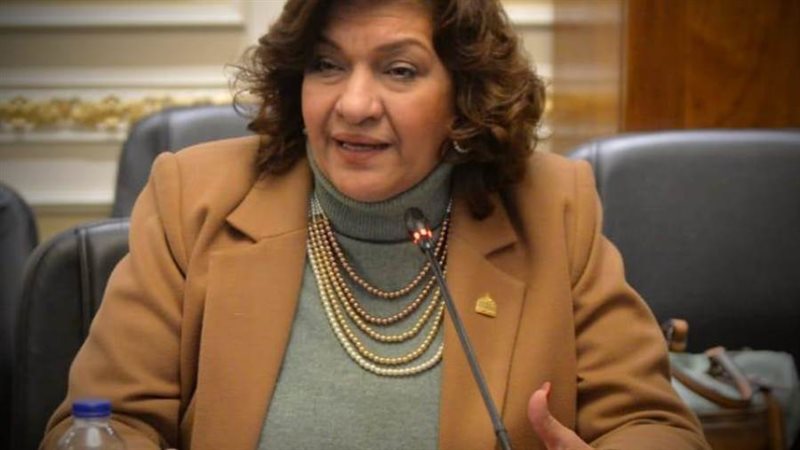 النائبة إيفلين متي