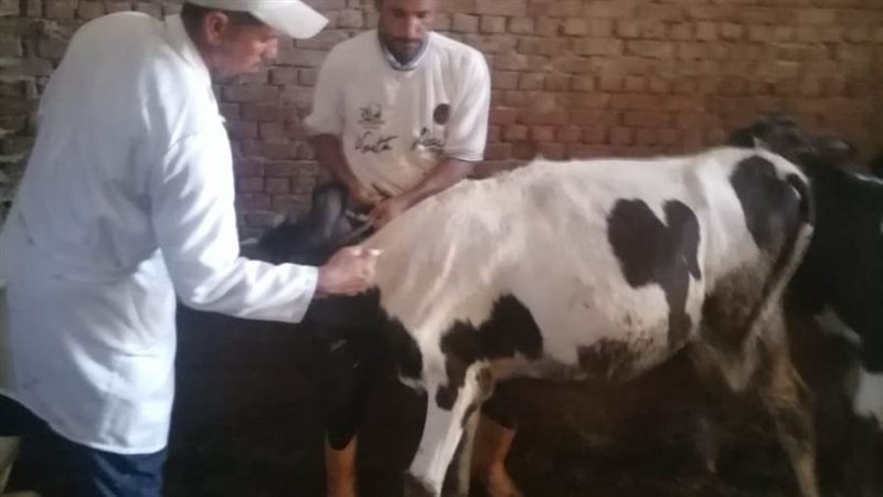 علاج وتحصين 60 ألف