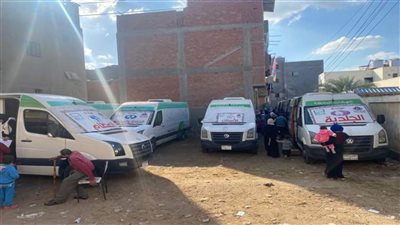 قافلة طبية بقرية الركابية في دمياط