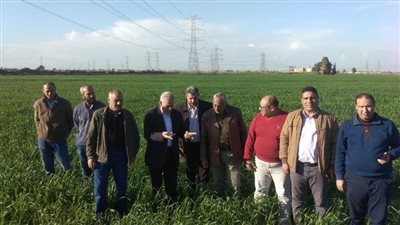 رئيس محطات البحوث يتفقد برامج تربية بعض المحاصيل الاستراتيجية بسخا