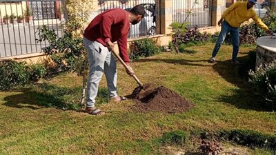 مواصلة أعمال تهذيب وصيانة الميادين والمسطحات الخضراء بالإسماعيلية 