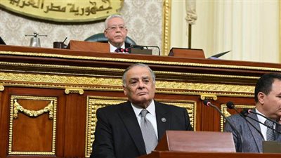 مطلب عاجل للبرلمان بشأن المشاكل الدستورية الواردة في مشروعات القوانين المتعلقة بجذب الاستثمار