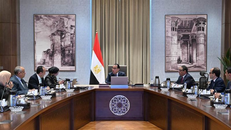 رئيس الوزراء يستعرض