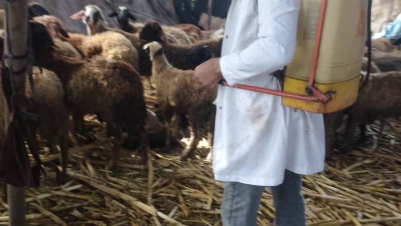 علاج وتحصين 53 ألف