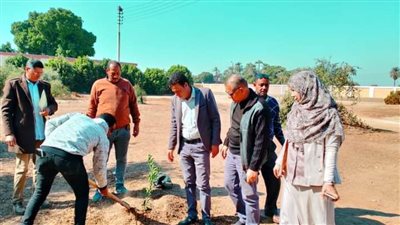 محافظ أسيوط حملات تشجير مستمرة وزراعة شتلات بـ