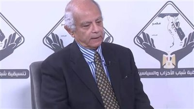 السفير حسين هريدي: ما فعلته إسرائيل في غزة جعل القضية الفلسطينية محل اهتمام أجيال شابة