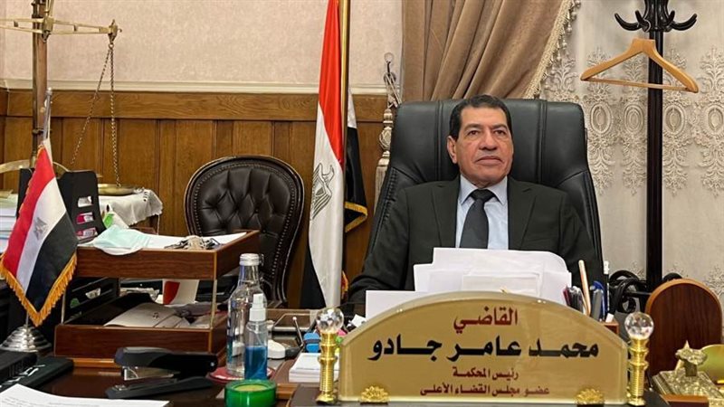 القاضى محمد عامر