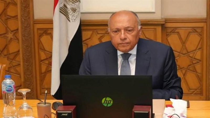 سامح شكري وزير الخارجية