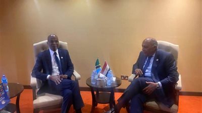 وزير الخارجية ونظيره التنزاني يبحثان سبل تعزيز العلاقات بين البلدين وخاصة الاقتصادية