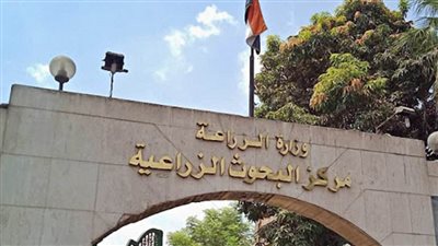 الزراعة: التناسليات الحيوانية ينظم قافلة بيطرية مجانية في محافظة أسيوط