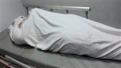 الداخلية تفك لغز مقتل شخص وإصابة آخر بالجيزة