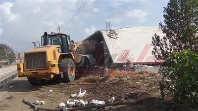 الموجة الـ 22 تعيد الأراضي الزراعية وأملاك الدولة المختصبه من قبل المعتدين بالبناء المخالف 