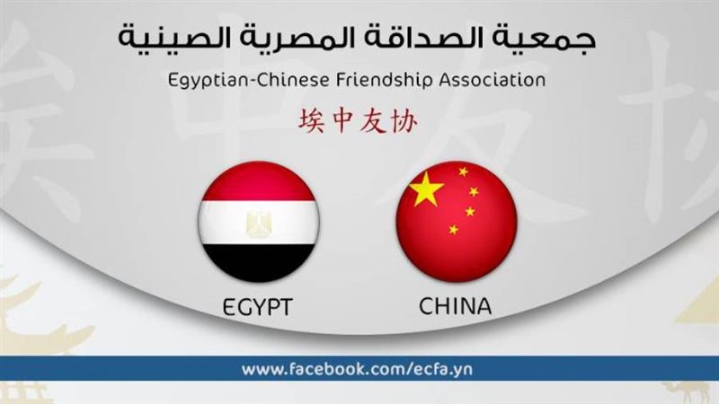 جمعية الصداقة المصرية