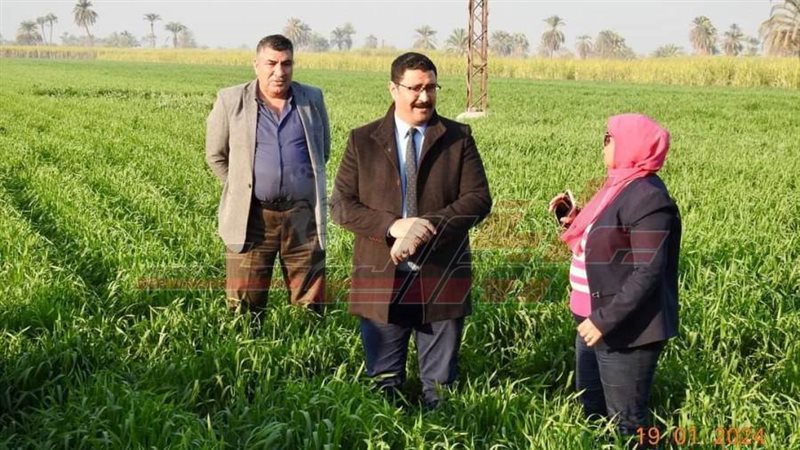 المدارس الحقليه بديرمواس