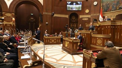 عيسى يشارك فى الجلسة العامة لمجلس الشيوخ 