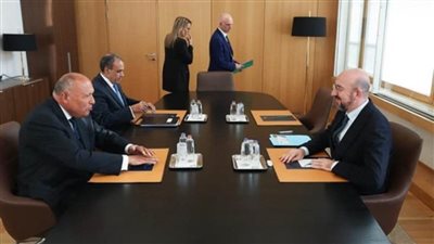 شكري يجتمع مع نظيره القبرصي في بروكسل