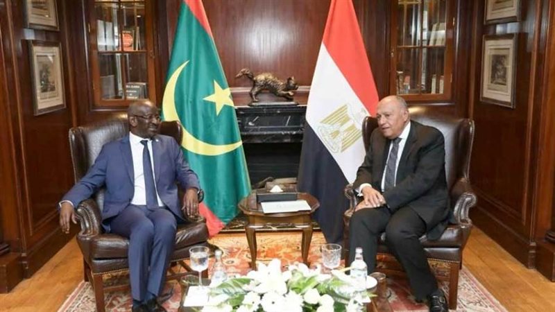 وزير الخارجية يستقبل