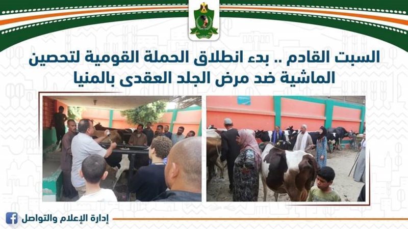 حملات. تحصين رؤوس