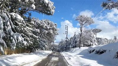 العاصفة دانيلا تضرب لبنان بأمطار عنيفة ورياح شديدة وثلوج على ارتفاع منخفض