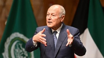  أبو الغيط يدعو إلى تنفيذ قرار 