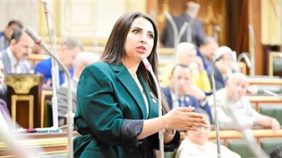 نشوى الشريف تتقدم بسؤال إلى رئيس الوزراء ووزير التعليم العالي بشأن الرقابة على الجامعات الخاصة