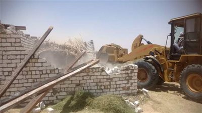 إزالة تعديات على أملاك الدولة في الوادي الجديد